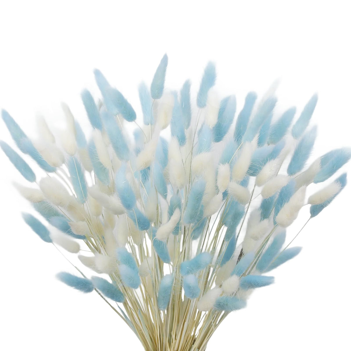 CISDUEO 120pcs Dried Bunny Tails Flowers Lagurus Ovatus Tail Dried Flowers Pampas Grass White and Gray Natural Dried Floral Arrangement for Boho Decor Home Wedding DIY Farmhouse Table Christmas (17")