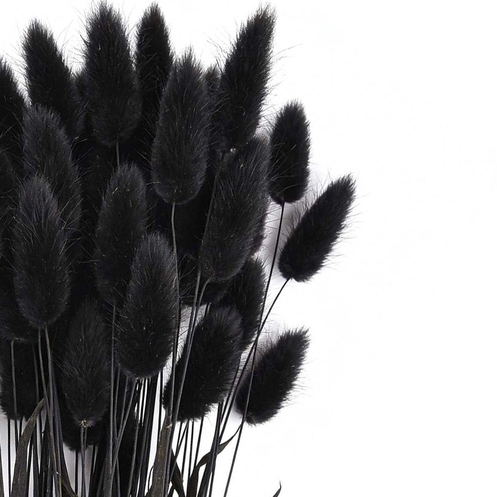 Bunny Tails Dried Flowers Boho Decor Pampass Grass 100pcs Floral Stems Decoration Plants 17 Inch (Teal Blue)