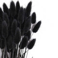 Bunny Tails Dried Flowers Boho Decor Pampass Grass 100pcs Floral Stems Decoration Plants 17 Inch (Teal Blue)