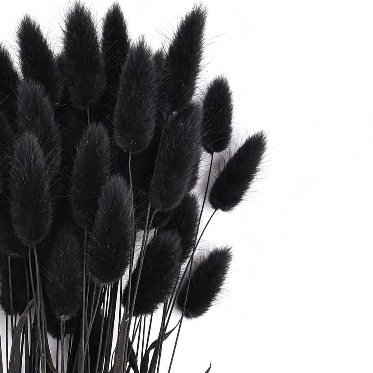 Bunny Tails Dried Flowers Boho Decor Pampass Grass 100pcs Floral Stems Decoration Plants 17 Inch (Teal Blue)