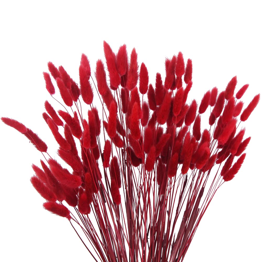 CISDUEO 120pcs Dried Bunny Tails Flowers Lagurus Ovatus Tail Dried Flowers Pampas Grass White and Gray Natural Dried Floral Arrangement for Boho Decor Home Wedding DIY Farmhouse Table Christmas (17")