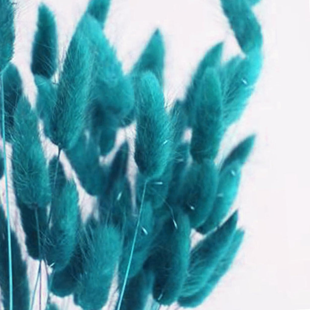 Bunny Tails Dried Flowers Boho Decor Pampass Grass 100pcs Floral Stems Decoration Plants 17 Inch (Teal Blue)