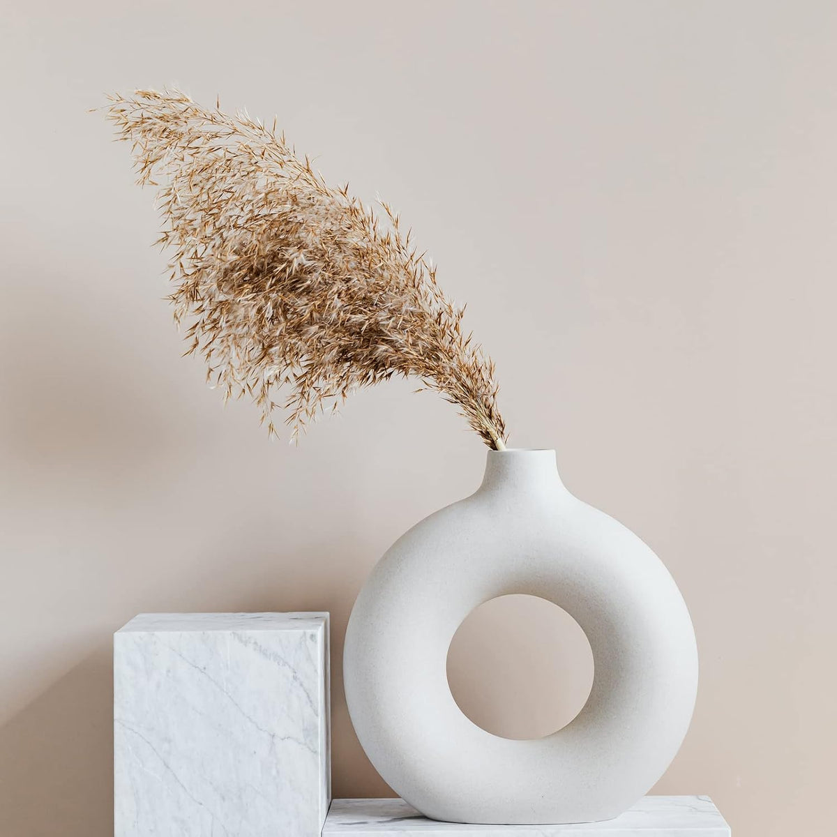 30 PCS Boho Decor, Fluffy Pompas Grass, Natural Dry Pampas Grass Small, Short Pampass Bulk for Boho Room, Coffee Table Decor (17 inch )