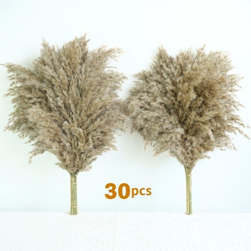 17Inch Natural Dried Pampas Grass 30 Stems - Boho Home Decor for Table Centerpieces, Wedding, Floral Arrangements(Natural)