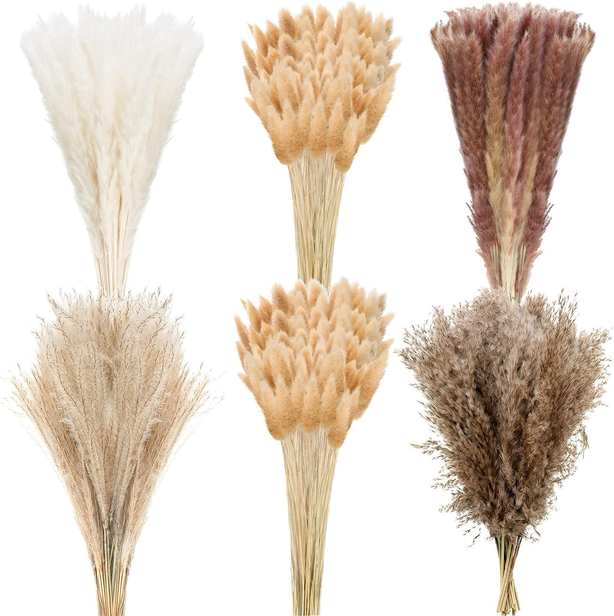 330 Pcs Dried Pampas Grass Decor, 17 Inch Dried Flower Plants Bulk White and Brown Pampas Grass Reed Bunny Tails Bouquet for Wedding Boho Home Table Decor Rustic Farmhouse Party Decoration