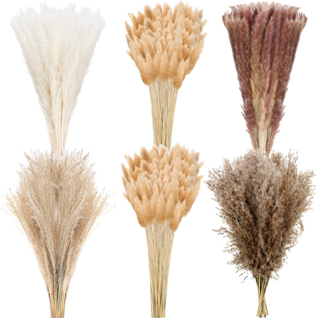 330 Pcs Dried Pampas Grass Decor, 17 Inch Dried Flower Plants Bulk White and Brown Pampas Grass Reed Bunny Tails Bouquet for Wedding Boho Home Table Decor Rustic Farmhouse Party Decoration