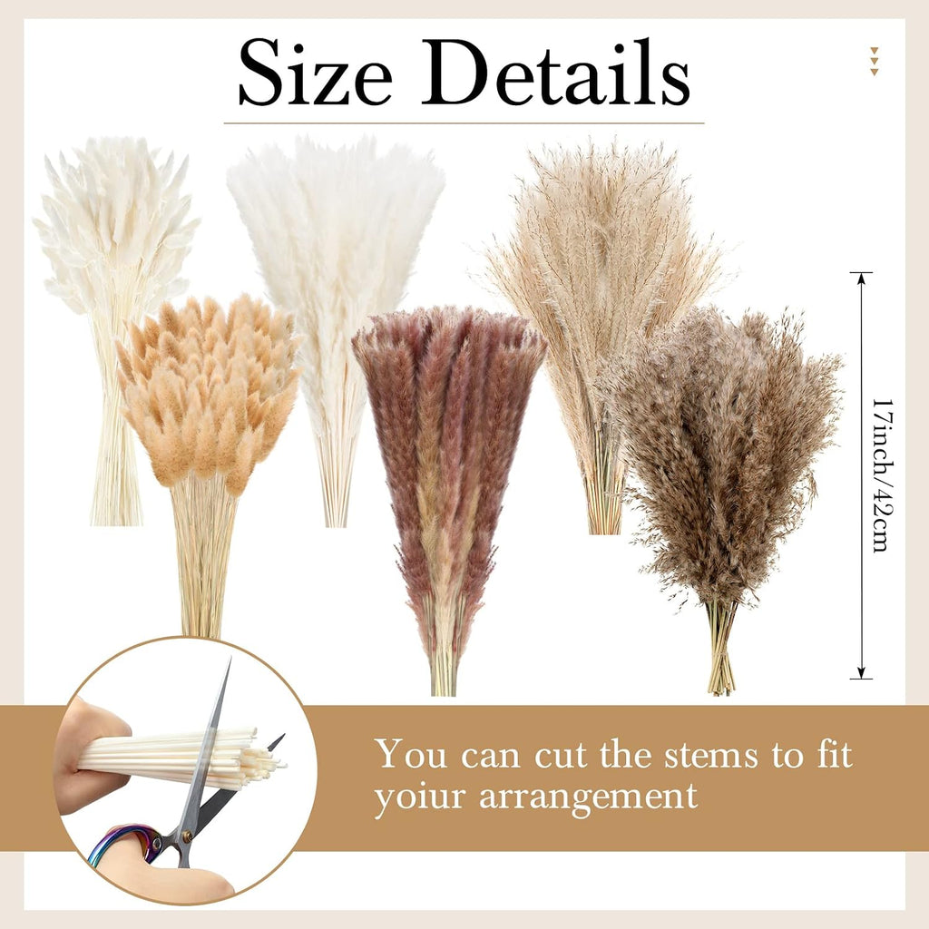 Treela 325 Pcs Dried Pampas Grass 17 Inch Bunny Tails Reed Plumes