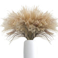Uieke 100Pcs Natural Dried Pampas Grass Plume 17inch Tall Dried Flowers Large Faux Reed Artificial Plants for Wedding Flower Arrangements Farmhouse Wreath Door Centerpiece Home Décor Brown