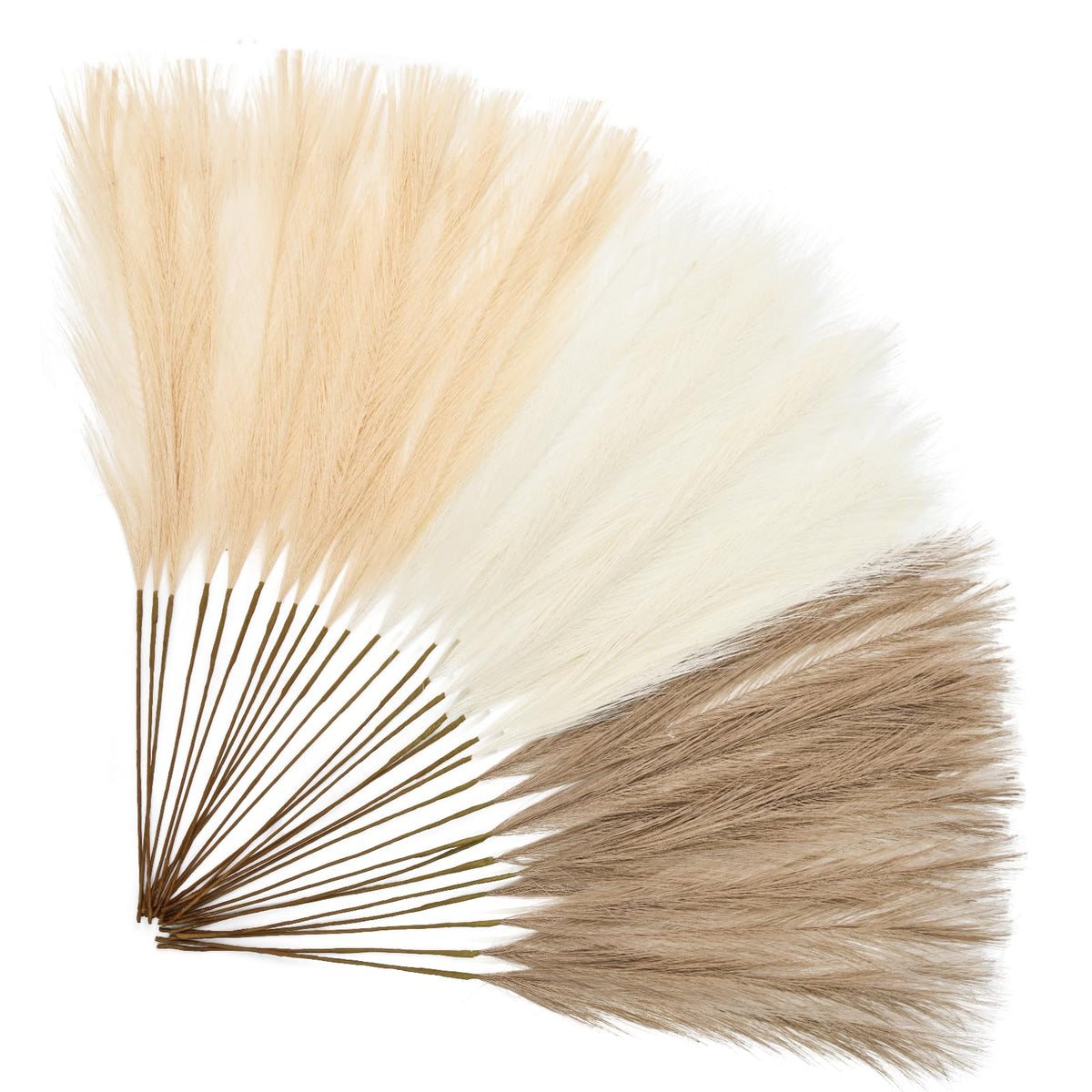 50pcs Black Pampas Grass 21.6 Inch Non-Shedding Faux Pampas for Gothic Home, Moody Boho, Halloween and Modern Wedding Decor
