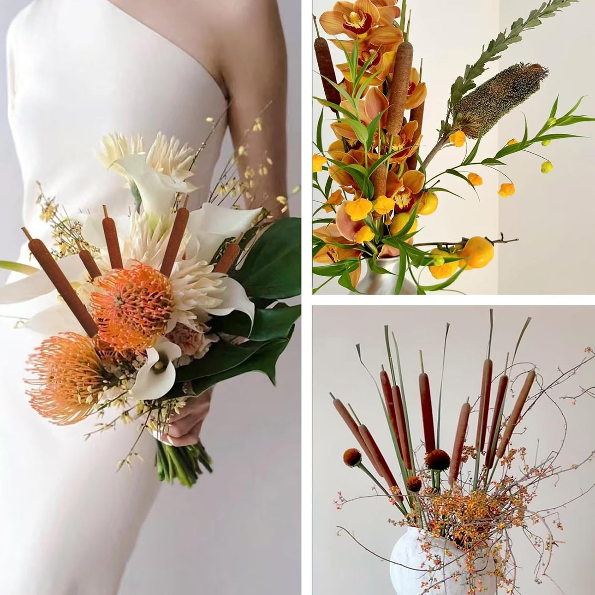 20 Pcs Dried Cattails, 17" Brown for Fall Centerpiece & Wedding Decor