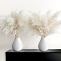 30 PCS Boho Decor, Fluffy Pompas Grass, Natural Dry Pampas Grass Small, Short Pampass Bulk for Boho Room, Coffee Table Decor (17 inch )