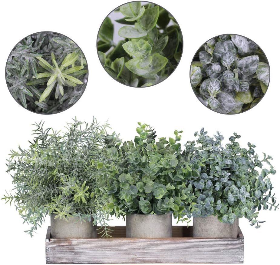 Winlyn Set of 3 Mini Potted Artificial Eucalyptus Plants Faux Rosemary Plant Assortment with Wood Planter Box for Indoor Office Desk Apartment Wedding Tabletop Greenery Decorations 8.7" Tall
