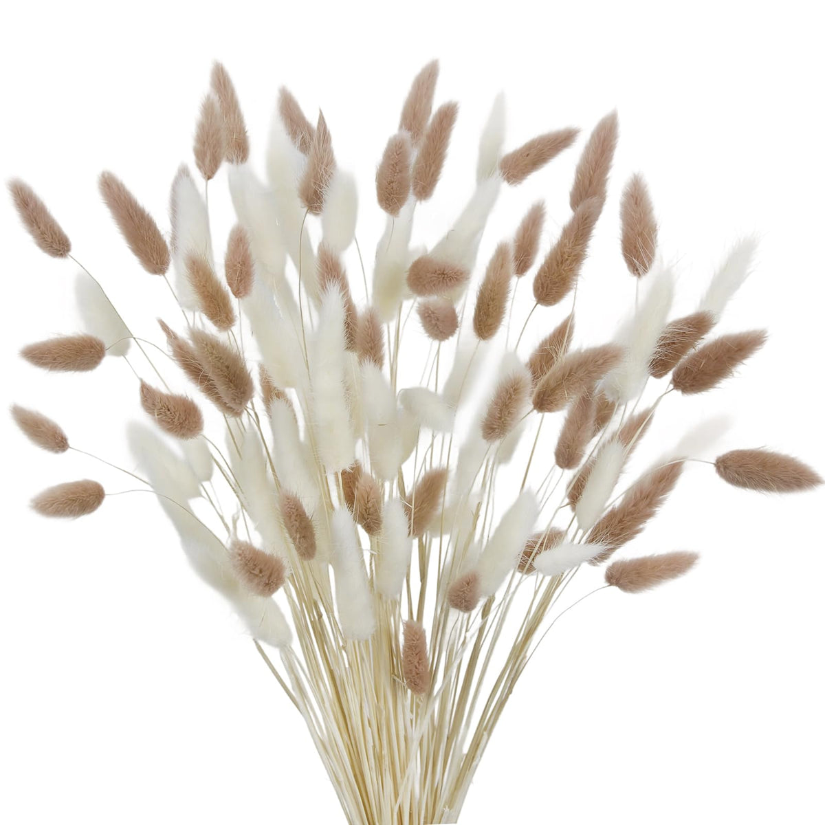 CISDUEO 120pcs Dried Bunny Tails Flowers Lagurus Ovatus Tail Dried Flowers Pampas Grass White and Gray Natural Dried Floral Arrangement for Boho Decor Home Wedding DIY Farmhouse Table Christmas (17")