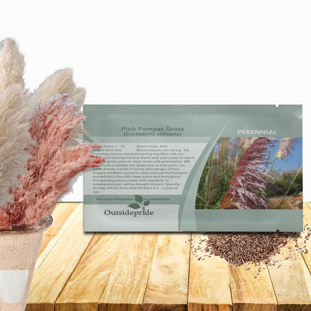 Outsidepride White Pampas Grass Seeds – 1,000 Pcs. Perennial, Drought-Tolerant Ornamental Grass for Large Garden Borders, Privacy Landscaping, Xeriscaping, and Low-Maintenance Outdoor Spaces