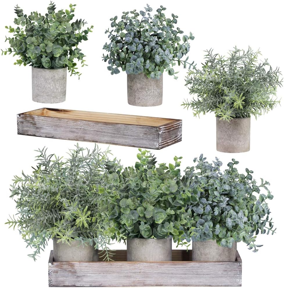 Winlyn Set of 3 Mini Potted Artificial Eucalyptus Plants Faux Rosemary Plant Assortment with Wood Planter Box for Indoor Office Desk Apartment Wedding Tabletop Greenery Decorations 8.7" Tall