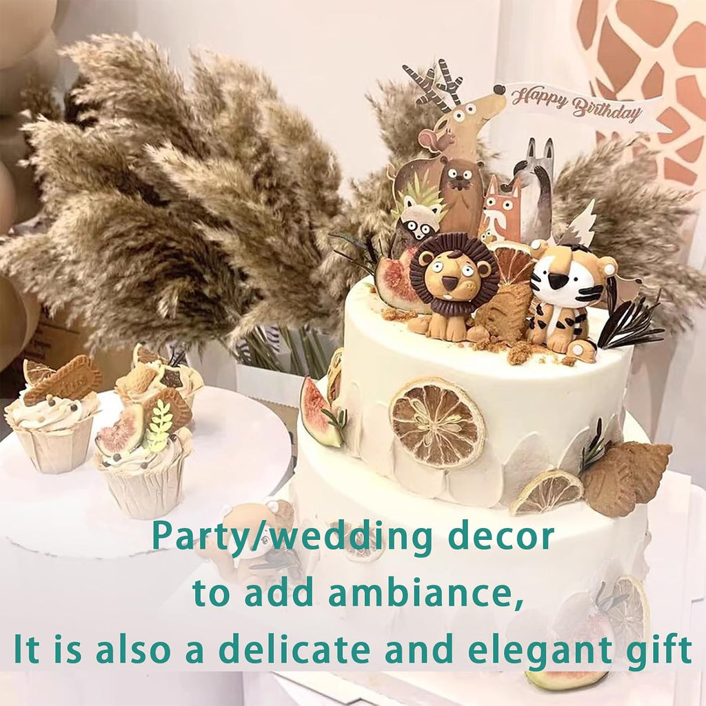 20 Stems 28" Large Brown Pampas Grass - Natural Fluffy Pompas Grass Bulk for Floor Vase - Boho Decor Home Wedding Event Decor, Gift