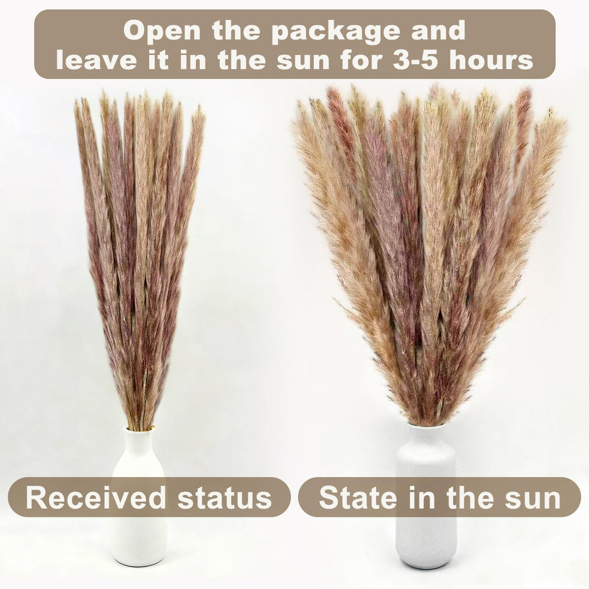 Dried Pampas Grass Decor, 100 Stems Bouquet with Bunny Tails & Reed Grass, Boho Dried Flowers for Wedding, Home Table Centerpieces, Rustic Farmhouse Party Decorations