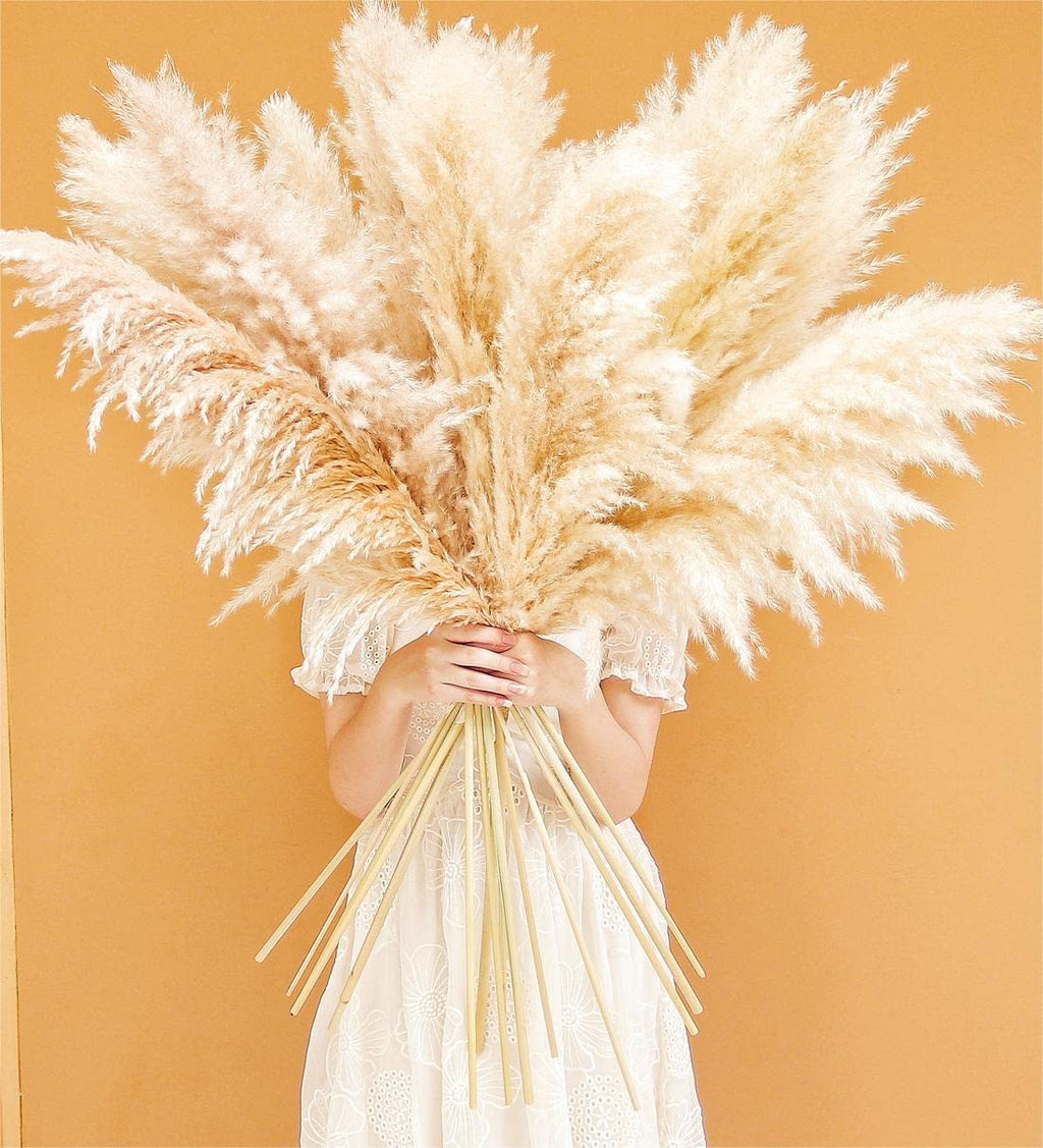 Natural Pampas Grass Decor Tall, Pompas Grass, Tall Pampas Grass for Weddingm, Farmhouse, Boho Home Decor (Brown)