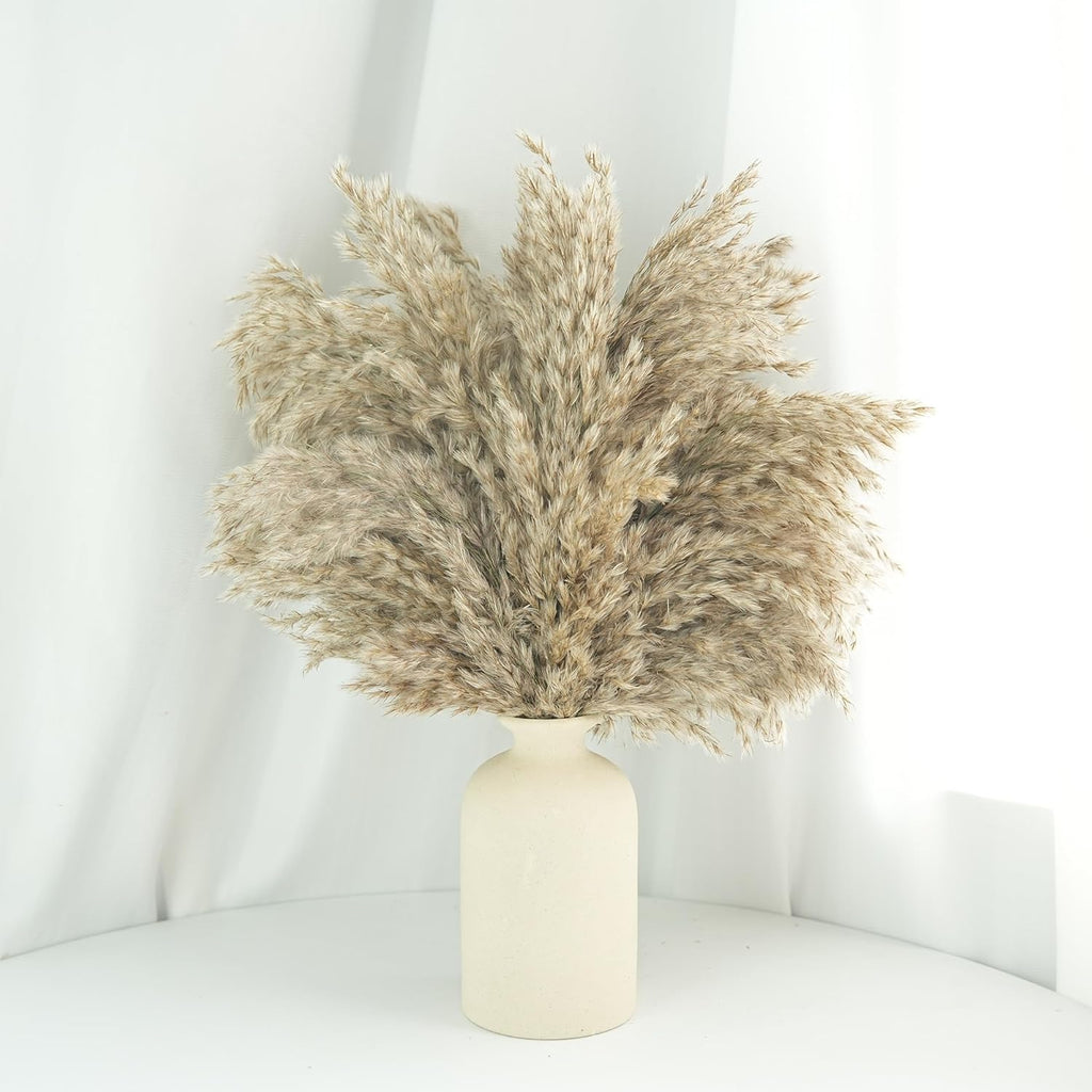 17Inch Natural Dried Pampas Grass 30 Stems - Boho Home Decor for Table Centerpieces, Wedding, Floral Arrangements(Natural)