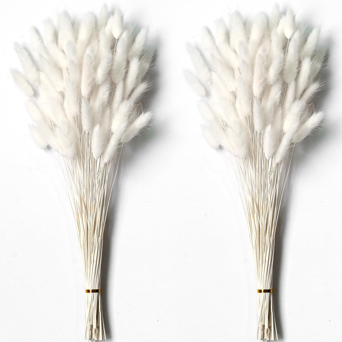 120 PCS White Dried Pampas Grass Decor, 17-inch Pompas Floral, Dry Flowers for Decoration, Pampas Grass in Bulk Tall, White Bunny Tails Dried Flowers for Boho Wedding