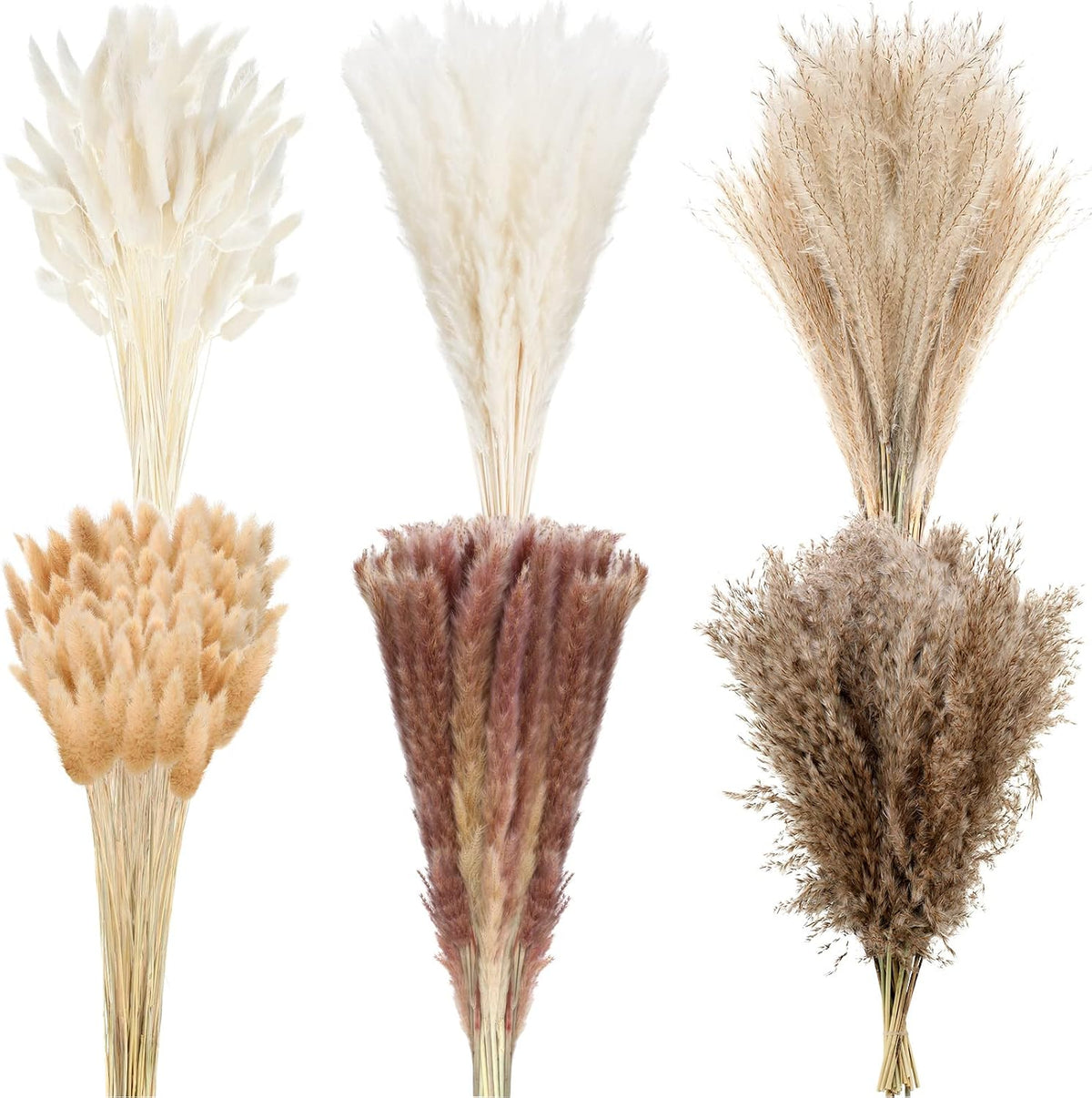 Treela 325 Pcs Dried Pampas Grass 17 Inch Bunny Tails Reed Plumes