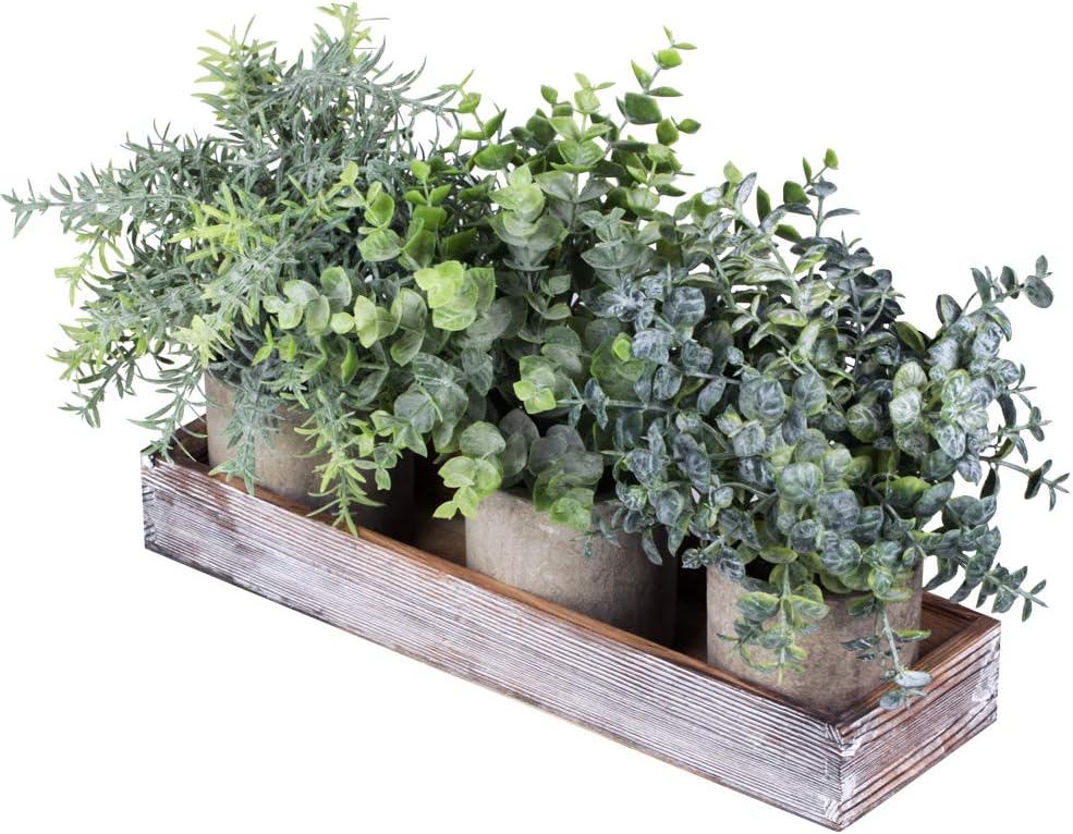 Winlyn Set of 3 Mini Potted Artificial Eucalyptus Plants Faux Rosemary Plant Assortment with Wood Planter Box for Indoor Office Desk Apartment Wedding Tabletop Greenery Decorations 8.7" Tall