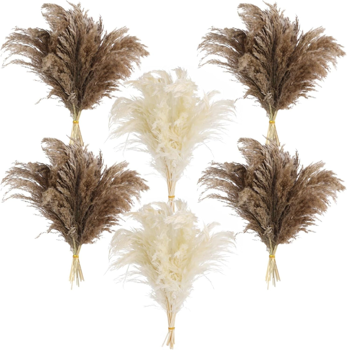 60 PCS Natural Dried Pampas Grass, Fluffy Pompas Grass Stems Mixed Tones, 18 in Bohemian Decor Arrangement for Living Room Accents, Coffee Table Display, Bedroom Vase Decoration