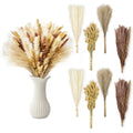 Le courant 17" Dried Pampas Grass Decor, Naturally Small Boho Pampas Grass with Bunny Tails & Reed Grass for Home Table Decor, Wedding, Rustic Farmhouse Party Decorations, White and Brown (200pc)