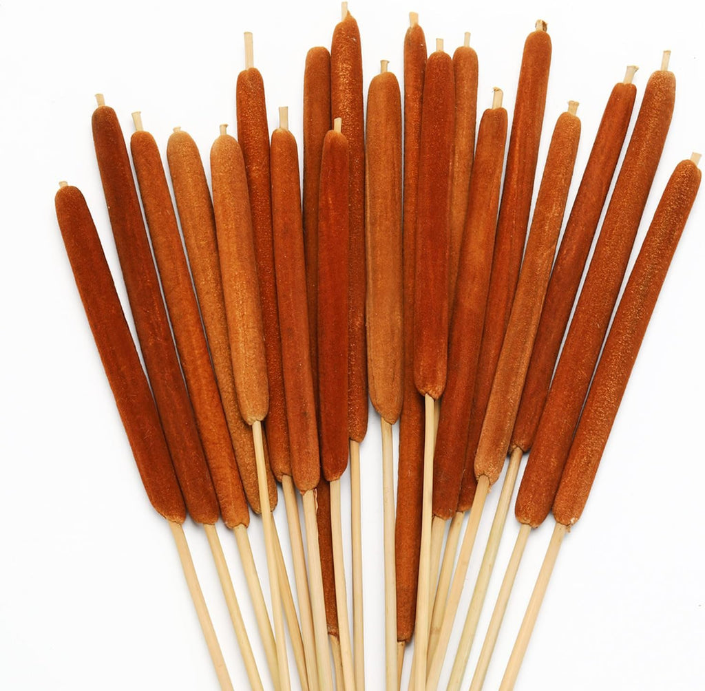 20 Pcs Dried Cattails, 17" Brown for Fall Centerpiece & Wedding Decor