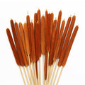 20 Pcs Dried Cattails, 17" Brown for Fall Centerpiece & Wedding Decor