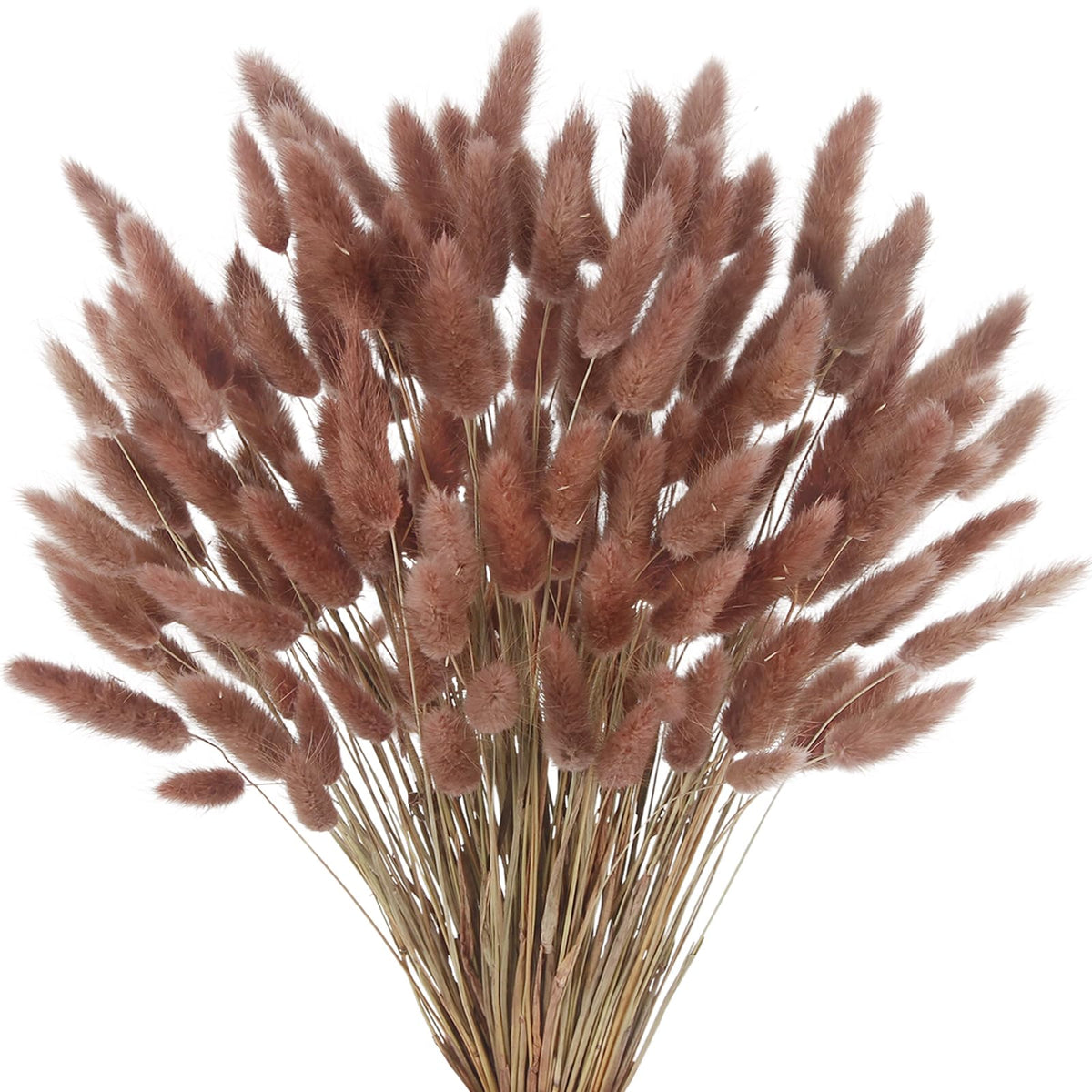 CISDUEO 120pcs Dried Bunny Tails Flowers Lagurus Ovatus Tail Dried Flowers Pampas Grass White and Gray Natural Dried Floral Arrangement for Boho Decor Home Wedding DIY Farmhouse Table Christmas (17")