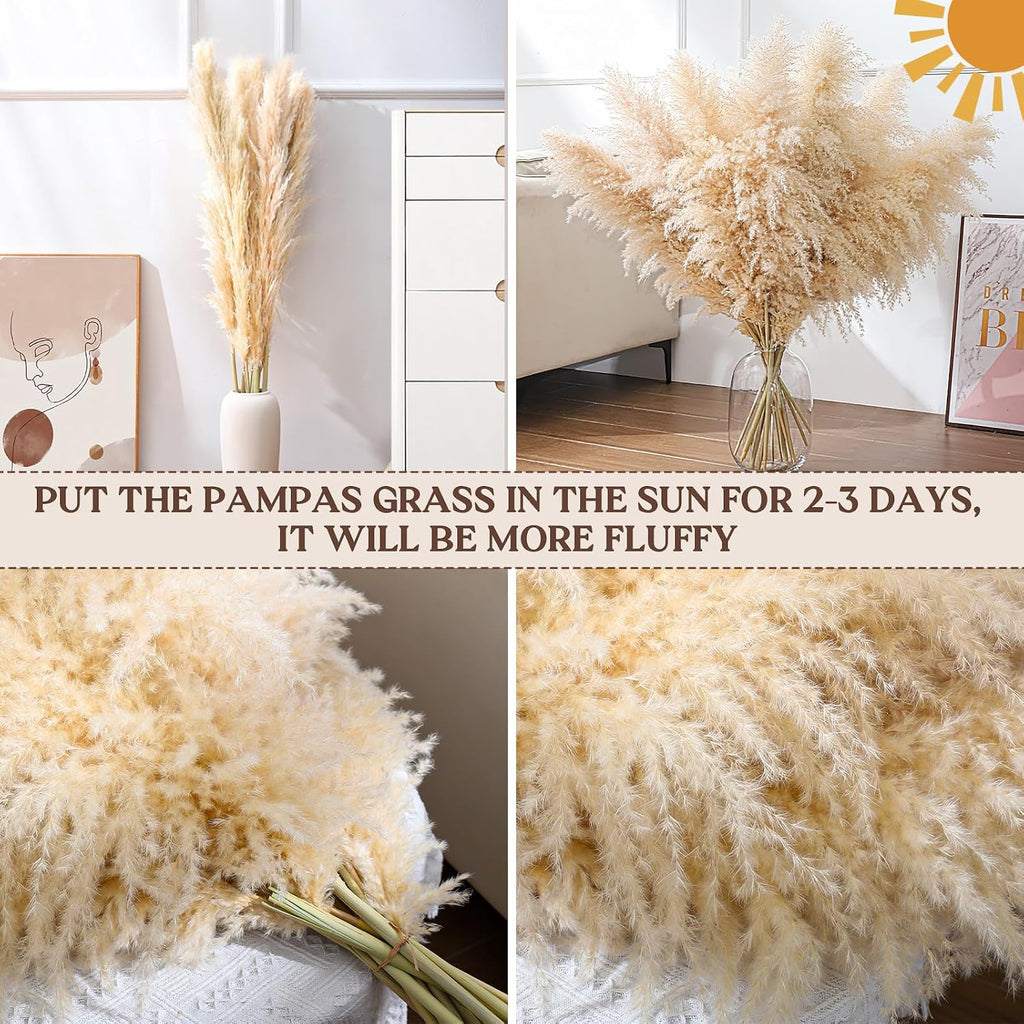 Pasuvsigt 12Pcs 40 Inch Dried Pampas Grass Fluffy Stem Home Wedding Decor