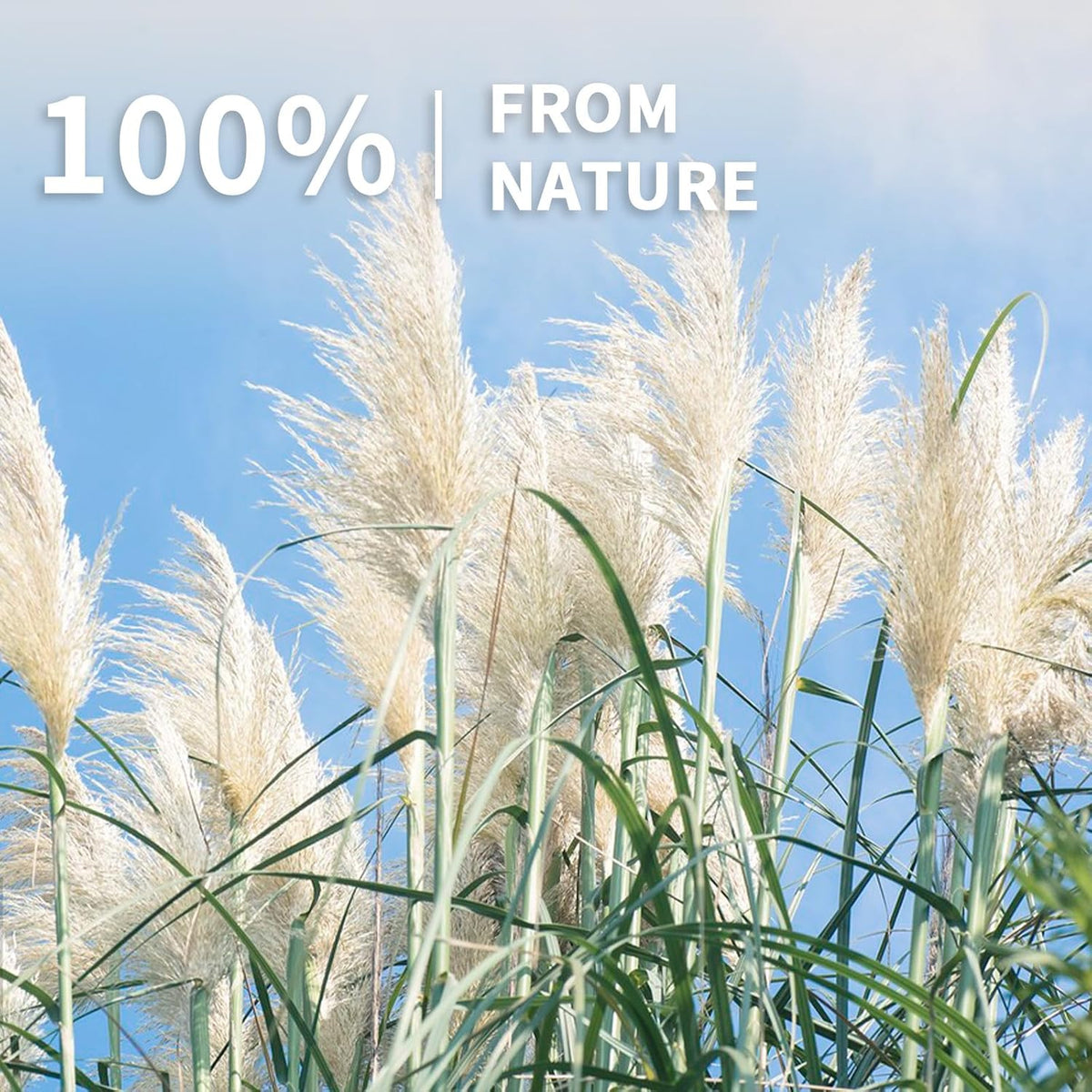 Le courant 17" Dried Pampas Grass Decor, Naturally Small Boho Pampas Grass with Bunny Tails & Reed Grass for Home Table Decor, Wedding, Rustic Farmhouse Party Decorations, White and Brown (200pc)