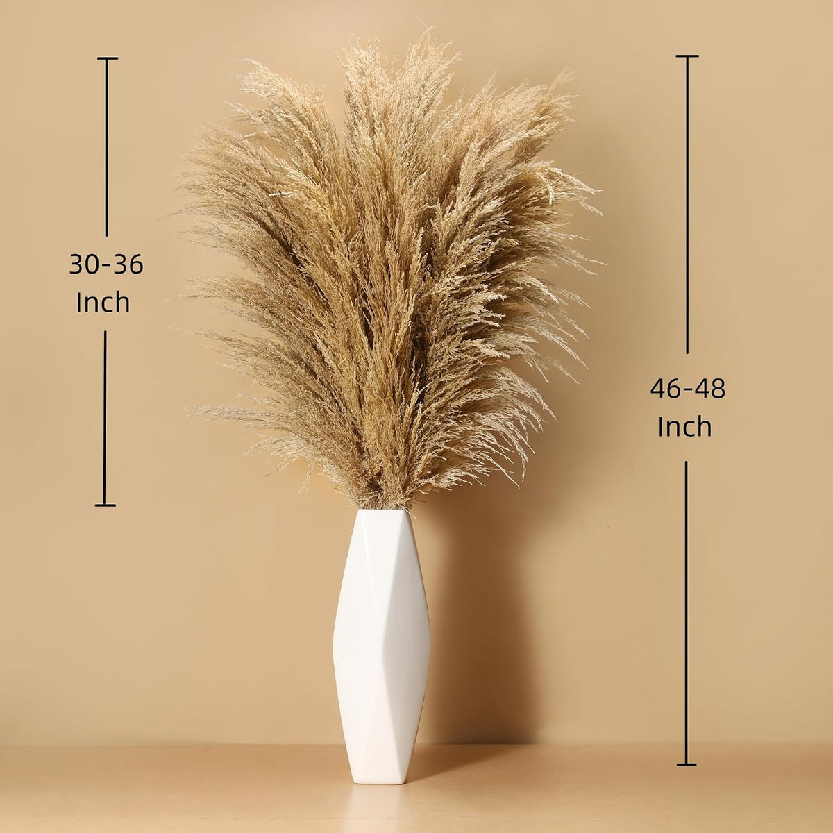 Wertuirk 9 Stems Dried Pampas Grass Decor Tall 48''/4 FT