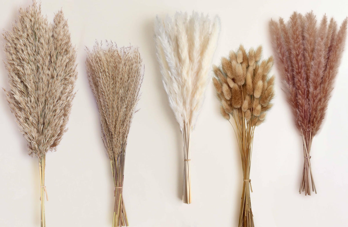 110 Stems 17" Dried Pampas Grass, Boho Table Decor Natural Reed Phragmites Grass + Brown & White Pampas Grass + Bunny Tails Flowers Bouquet for Wedding Floral Arrangements Farmhouse Home Rustic Wall