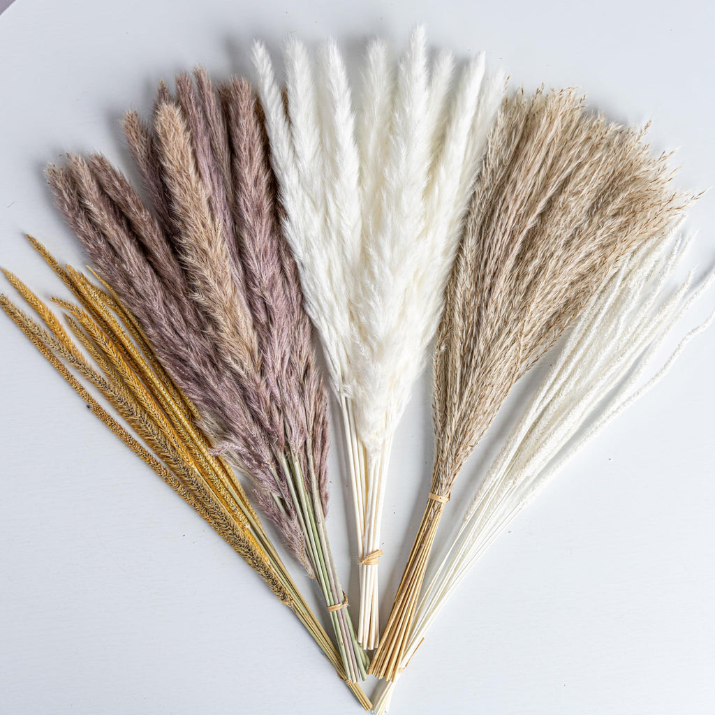 96PCS Natural Dried Pampas Grass Boho Home Decor Bouquet Phragmites Dried Flowers Bouquet for Wedding Floral Arrangements Living Room Decorations (96PCS)