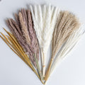 96PCS Natural Dried Pampas Grass Boho Home Decor Bouquet Phragmites Dried Flowers Bouquet for Wedding Floral Arrangements Living Room Decorations (96PCS)