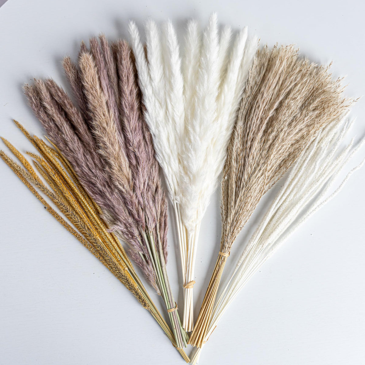 96PCS Natural Dried Pampas Grass Boho Home Decor Bouquet Phragmites Dried Flowers Bouquet for Wedding Floral Arrangements Living Room Decorations (96PCS)