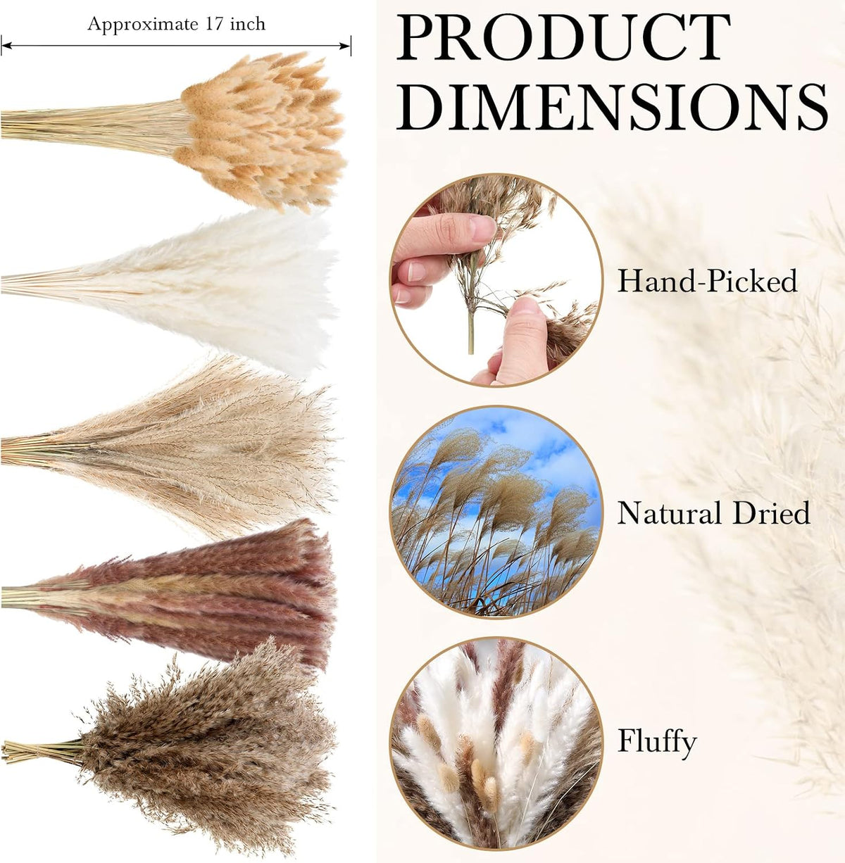 330 Pcs Dried Pampas Grass Decor, 17 Inch Dried Flower Plants Bulk White and Brown Pampas Grass Reed Bunny Tails Bouquet for Wedding Boho Home Table Decor Rustic Farmhouse Party Decoration