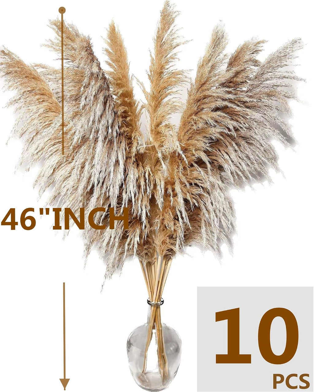 Natural Pampas Grass Decor Tall, Pompas Grass, Tall Pampas Grass for Weddingm, Farmhouse, Boho Home Decor (Brown)