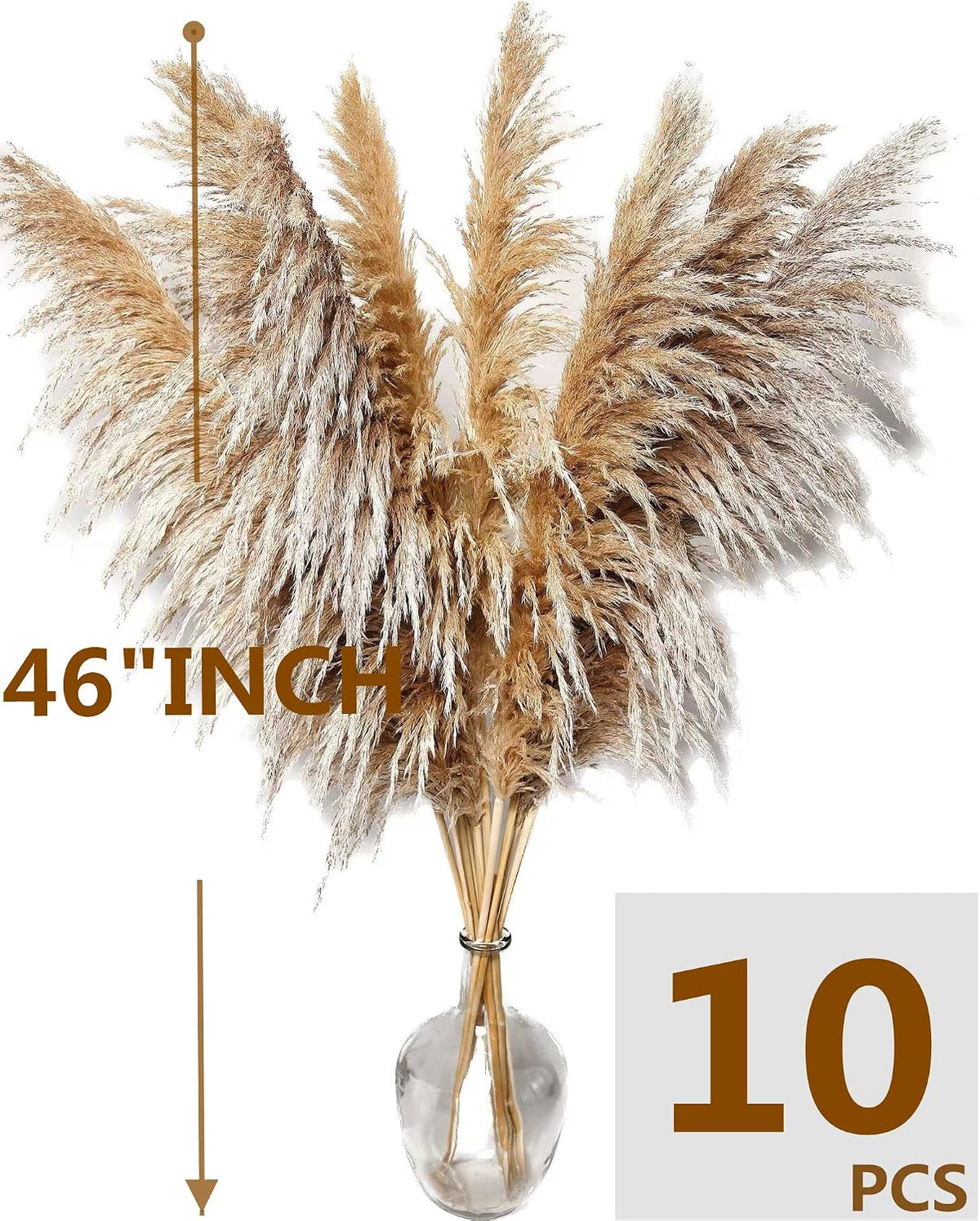 Natural Pampas Grass Decor Tall, Pompas Grass, Tall Pampas Grass for Weddingm, Farmhouse, Boho Home Decor (Brown)