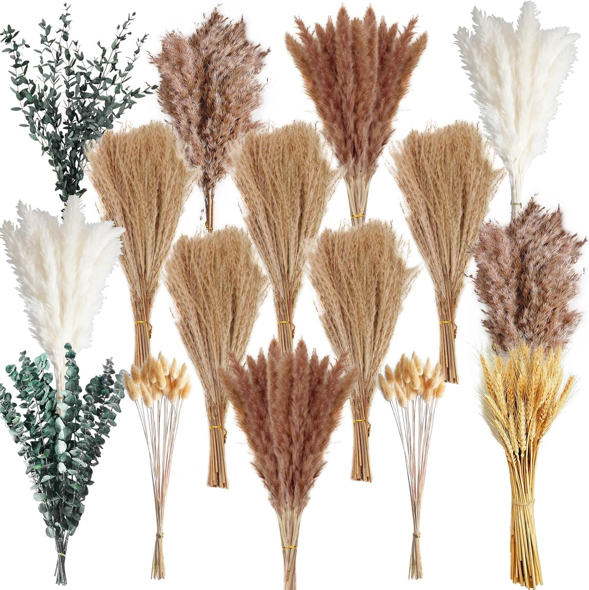 350PCS Dried Pampas Grass Bouquet Set – Dried Eucalyptus, Brown Pampas Grass & White Pampas Grass for Boho Baby Shower Decorations, Boho Wedding Decor, Pampas Grass Wall Decor, Home Decorations Modern