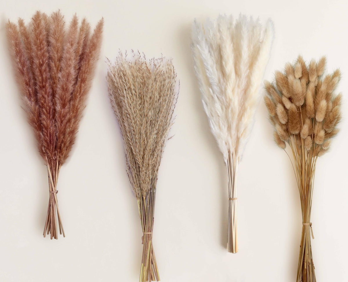 110 Stems 17" Dried Pampas Grass, Boho Table Decor Natural Reed Phragmites Grass + Brown & White Pampas Grass + Bunny Tails Flowers Bouquet for Wedding Floral Arrangements Farmhouse Home Rustic Wall