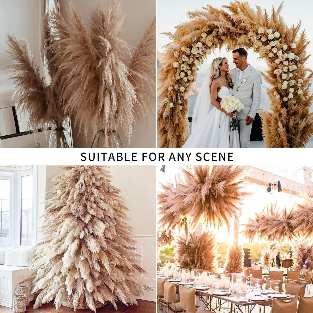 Wertuirk 12 Stems 46 inch Tall Dried Pampas Grass Decor