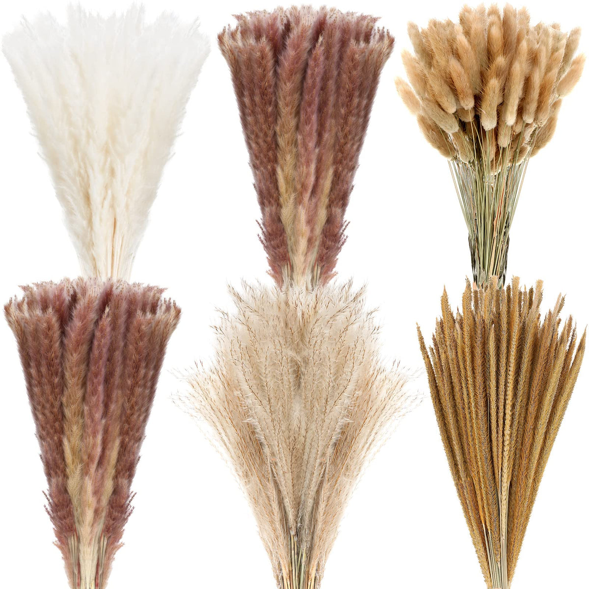 330 Pcs Dried Pampas Grass Decor, 17 Inch Dried Flower Plants Bulk White and Brown Pampas Grass Reed Bunny Tails Bouquet for Wedding Boho Home Table Decor Rustic Farmhouse Party Decoration