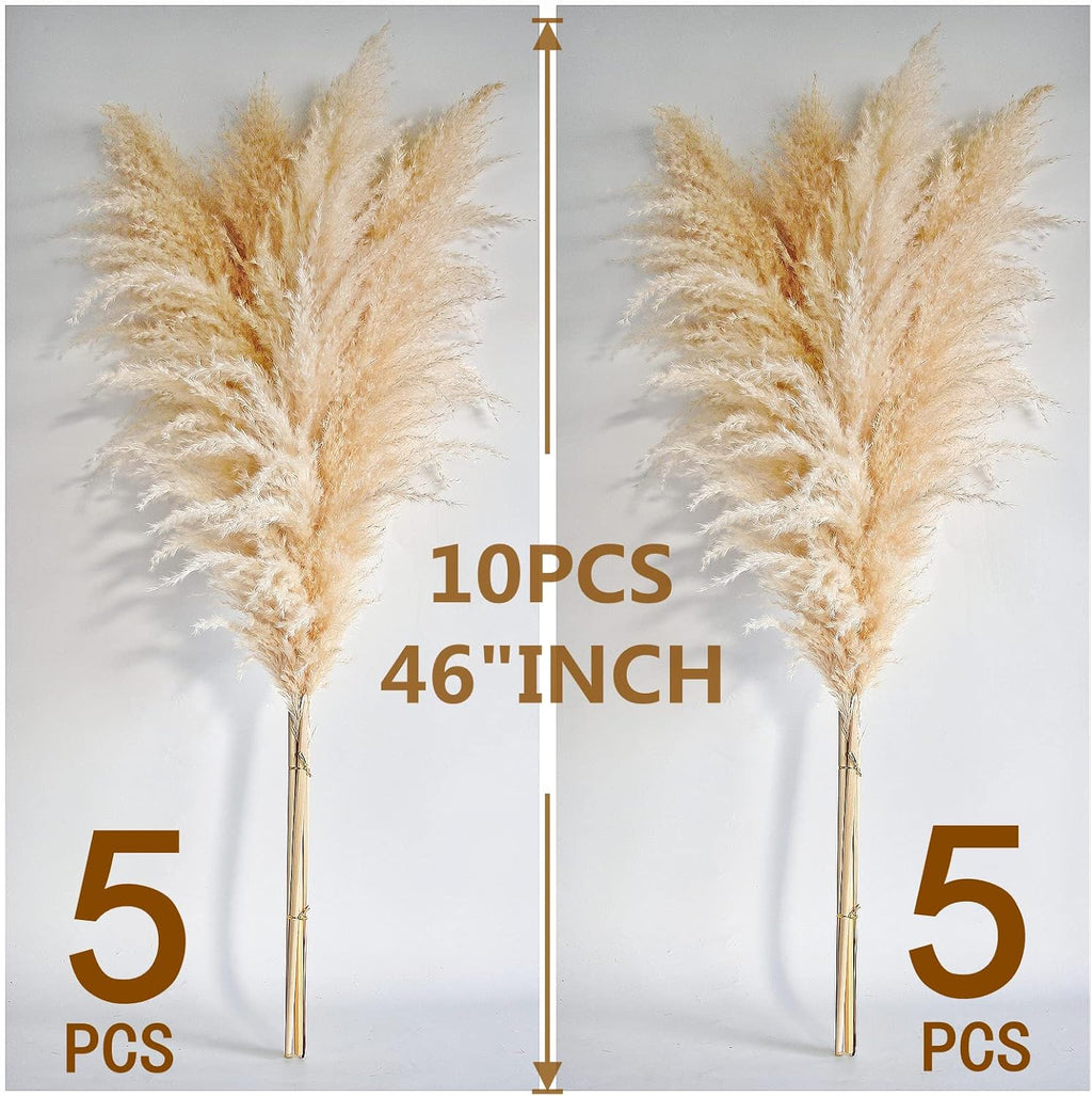 10 Stems 46" inch Dried Pampas Grass Decor Tall, Large Pompas Grass, Boho Neutral Home Decor Bouquet, Fluffy Pampass Grass for Floor Vase Wedding Floral Arrangements Wall Farmhouse Table Decor