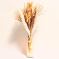 30 Pcs White Pampas Grass ,17 inch/45 cm Natural Dried Pampas Grass Branches Decor for Home Kitchen Garden Party Photographing Flower Arrangement Vase Decor（White