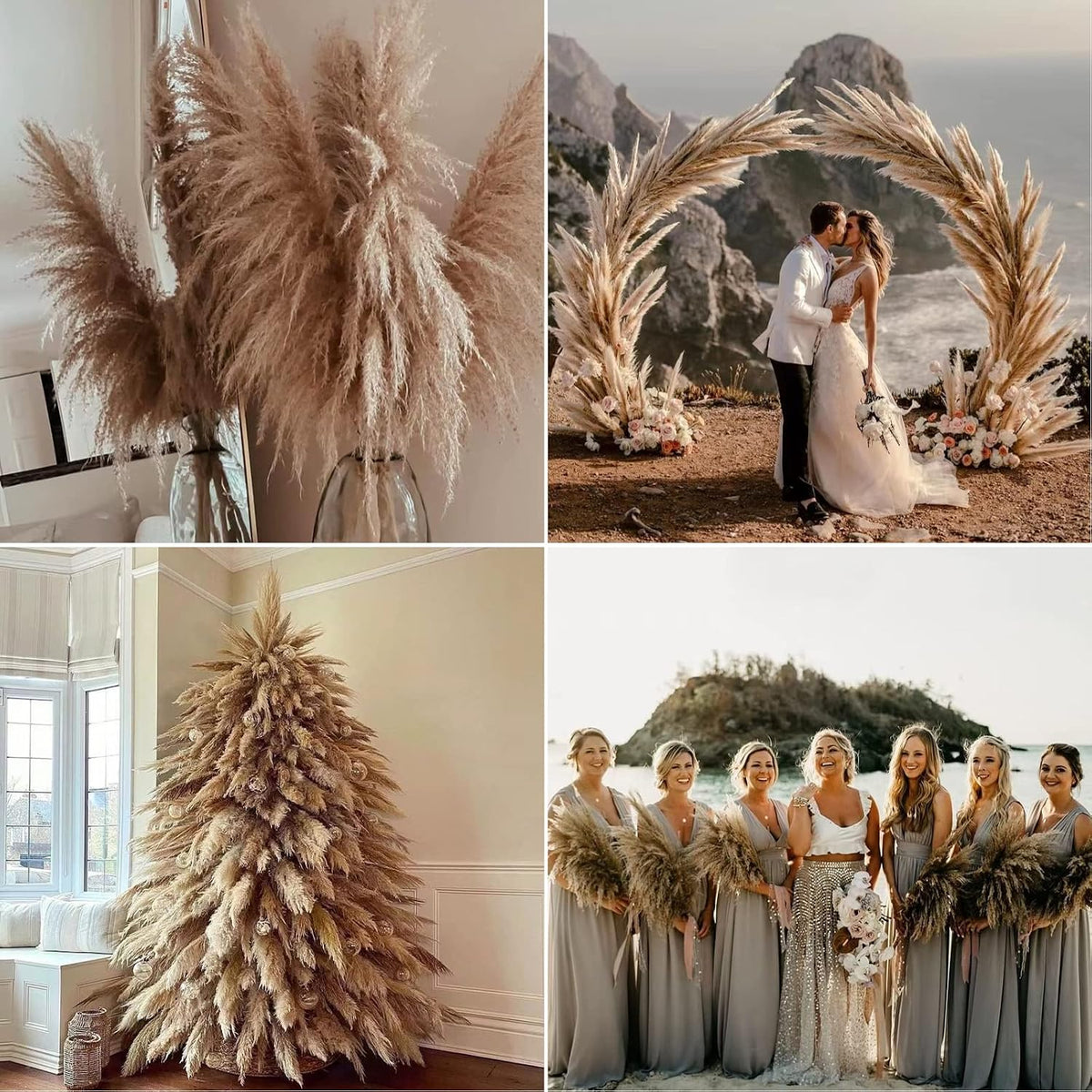 Wertuirk 9 Stems Dried Pampas Grass Decor Tall 48''/4 FT