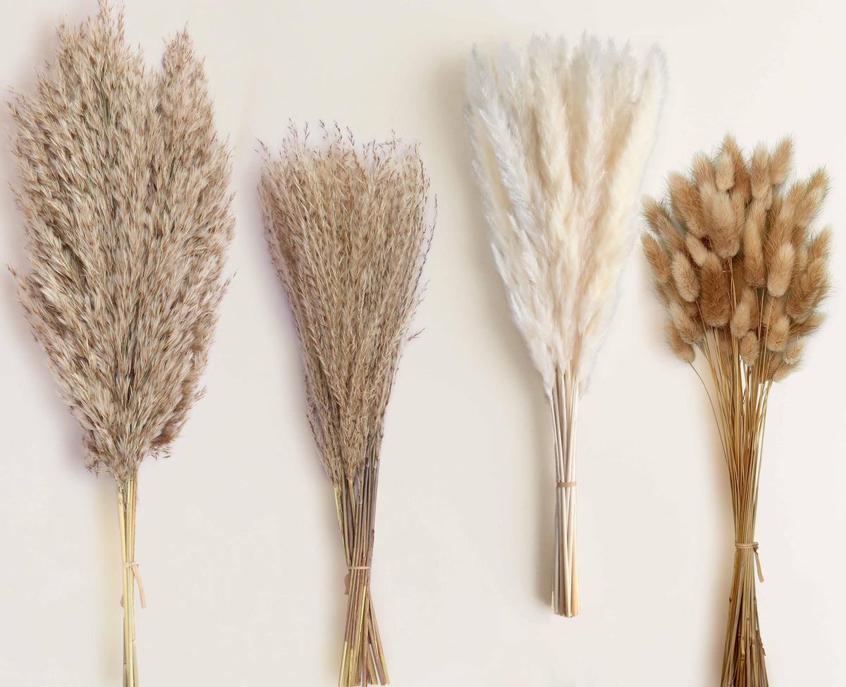 110 Stems 17" Dried Pampas Grass, Boho Table Decor Natural Reed Phragmites Grass + Brown & White Pampas Grass + Bunny Tails Flowers Bouquet for Wedding Floral Arrangements Farmhouse Home Rustic Wall
