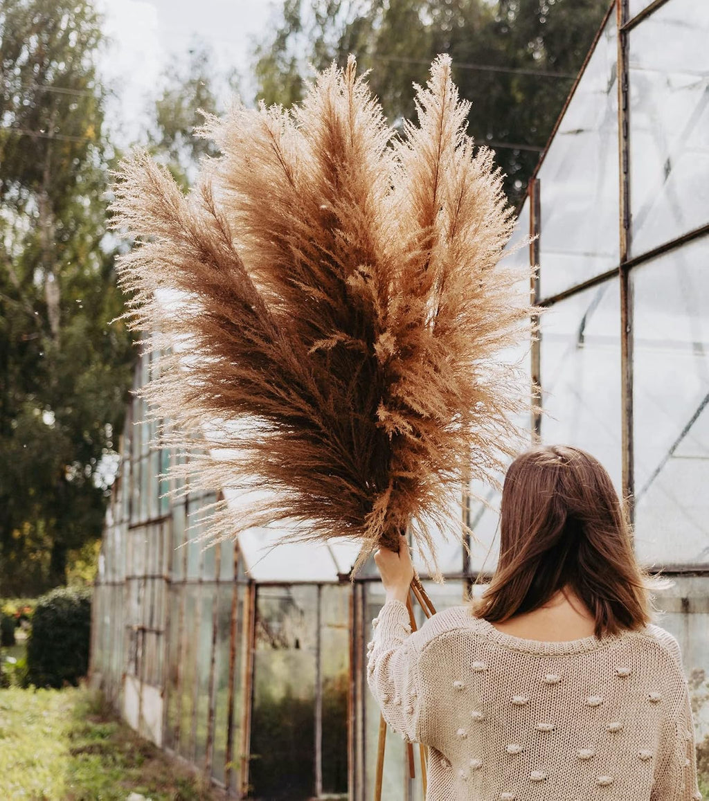 Natural Pampas Grass Decor Tall, Pompas Grass, Tall Pampas Grass for Weddingm, Farmhouse, Boho Home Decor (Brown)